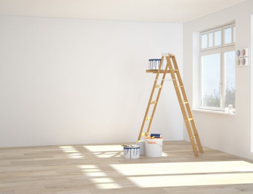 Spray, Roll, or Brush? What do the Professionals Use to Paint Your Home?